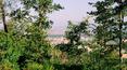 Toscana Immobiliare - Siena properties for sale in panoramic position