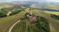 Toscana Immobiliare - Tuscan countryside, Val d\'Orcia farm with vineyard 