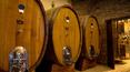 Toscana Immobiliare - farm with vineyard and resort for sale in Tuscany
