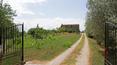 Toscana Immobiliare - Azienda agricola in vendita ad Asciano, Siena con 35 ettari di terreno