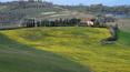Toscana Immobiliare - holiday farm and a manor house in Montepulciano