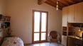 Toscana Immobiliare - Country home for sale in Tuscany
