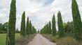 Toscana Immobiliare - Circondata da un rigoglioso parco, la proprietà è situata al confine tra Umbria e Toscana.