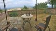 Toscana Immobiliare - Apartment with garden for sale in Tuscany, Siena