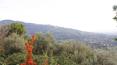 Toscana Immobiliare - Casale con oliveto in vendita a Cortona in posizione panoramica
