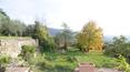Toscana Immobiliare - Real estate in Cortona