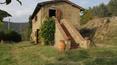 Toscana Immobiliare - Tuscany, country house with olive grove for sale Cortona
