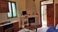 Toscana Immobiliare - Casale in vendita