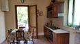 Toscana Immobiliare - Farm holidays in Tuscany