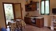 Toscana Immobiliare - Farm holidays in Tuscany