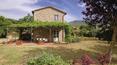 Toscana Immobiliare - Villa rustica con piscina in vendita a Cortona
