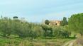 Toscana Immobiliare - Podere con 63 ettari di terreno in vendita ad Asciano, Siena