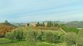 Toscana Immobiliare - Podere con 63 ettari di terreno in vendita ad Asciano, Siena