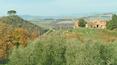 Toscana Immobiliare - Podere con 63 ettari di terreno in vendita ad Asciano, Siena