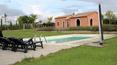 Toscana Immobiliare - La proprietà è completata da una splendida piscina di 6x12 m
