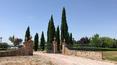 Toscana Immobiliare - Ferme en pierre avec vue sur le lac, piscine, dépendance et terrain à vendre en Ombrie