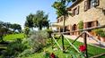 Toscana Immobiliare - Farmhouse for sale in the beautiful Maremma region of Tuscany, with vineyards producing Morellino di Scansano