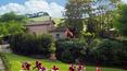 Toscana Immobiliare - Dependance of the Farmhouse for sale in Siena with panoramic swimming pool