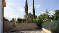 Toscana Immobiliare - villa with private pool for sale in Tuscany, Arezzo, Valdichiana