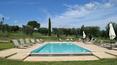 Toscana Immobiliare - swimming pool of the wine company for sale tuscany