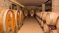 Toscana Immobiliare - cellar of the wine company for sale tuscany