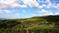 Toscana Immobiliare - Farm with vineyard for sale in the heart of chianti.