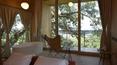 Toscana Immobiliare - Suite sull\'albero