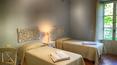 Toscana Immobiliare - Prestigious farm holidays with 9 apartments, big swimming pool, SPA-centre