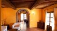 Toscana Immobiliare - Luxury Estate with vineyards for sale in Tuscany, Arezzo