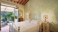 Toscana Immobiliare - 11 bedroom farm house for sale Tuscany, Siena, Asciano