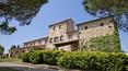 Toscana Immobiliare - Prestigious farm in Tuscany with vineyard, olive grove and farmhouse with swimming pool