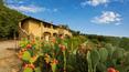Toscana Immobiliare - Tenuta vitivinicola vendita in maremma con vigneti cantina e agriturismo vista mare