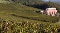 Toscana Immobiliare - Wine estate for sale in Tuscany, wine cellar, villa, stables and farmhouse with sea view