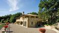 Toscana Immobiliare - buy Wine estate in Tuscany near the sea