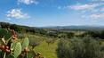 Toscana Immobiliare - Italian Property with Vineyard
