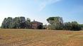 Toscana Immobiliare - Podere da restaurare in vendita in toscana a Cortona