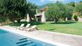 Toscana Immobiliare - Villa con piscina in vendita a Castiglione della Pescaia, Grosseto
