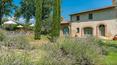 Toscana Immobiliare - Casale toscano in vendita a Cetona, provincia di Siena