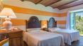Toscana Immobiliare - Typically Tuscan farmhouse for sale in Siena, Cetona