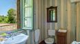 Toscana Immobiliare - Luxury houses for sale in Cetona Siena Tuscany
