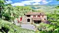 Toscana Immobiliare - Property with Vineyard for sale in Tuscany, Cortona