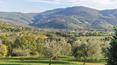 Toscana Immobiliare - Estate with hamlet and vineyards for sale Tuscany, Cortona