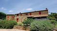 Toscana Immobiliare - Estate with hamlet and vineyards for sale Tuscany, Cortona