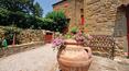 Toscana Immobiliare - Estate with hamlet and vineyards for sale Tuscany, Cortona