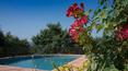 Toscana Immobiliare - Ville e Casali, vacanze in italia di lusso