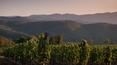 Toscana Immobiliare -