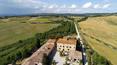 Toscana Immobiliare - Wine estate for sale in Tuscany, Siena
