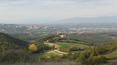 Toscana Immobiliare - In vendita Azienda agricola di 100 ettari con casali, allevamento di cavalli, terreno seminativo oliveto