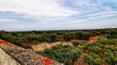 Toscana Immobiliare - Farmhouse for sale in Puglia in Ostuni