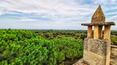 Toscana Immobiliare - farmhouse for sale in Puglia in Ostuni
